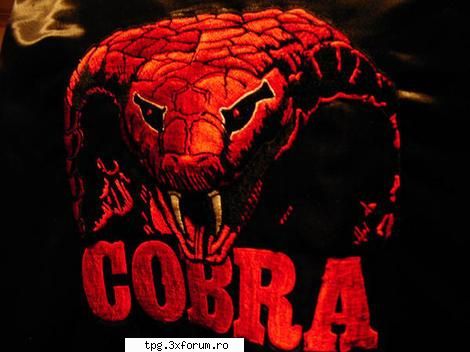 ma numesc cobra!
si conduc clanul dbt vreau sa provoc clanul tau!
dak accepti provocarea !  dami add